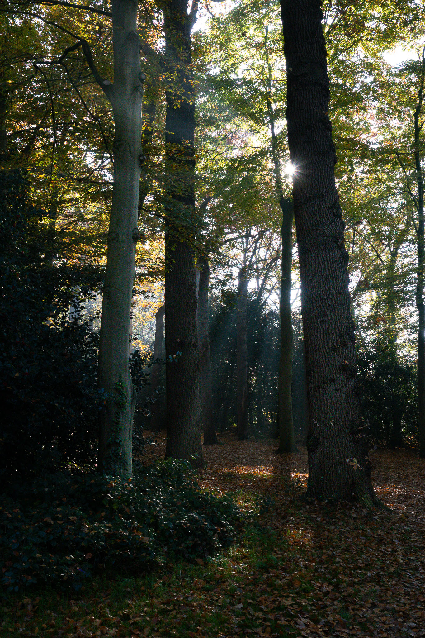 20251108   Huys te Warmond met Brigitte   001